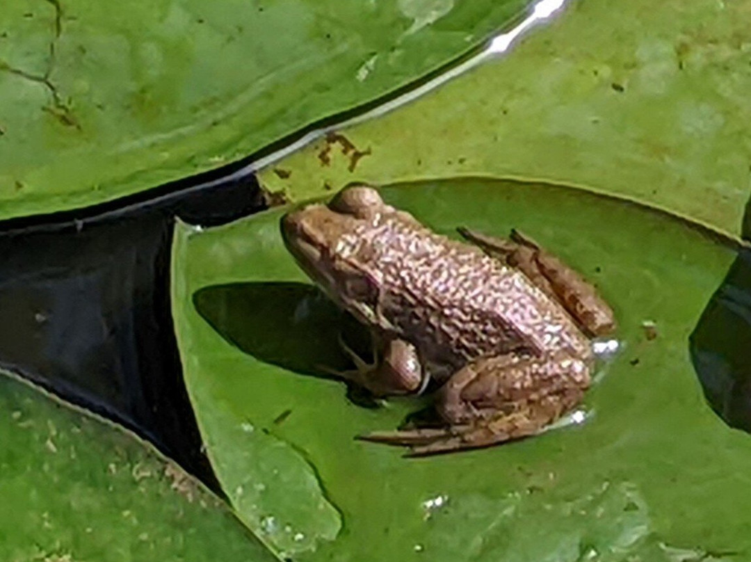 T.C. Steele State Historic Site-纳什维尔必去景点