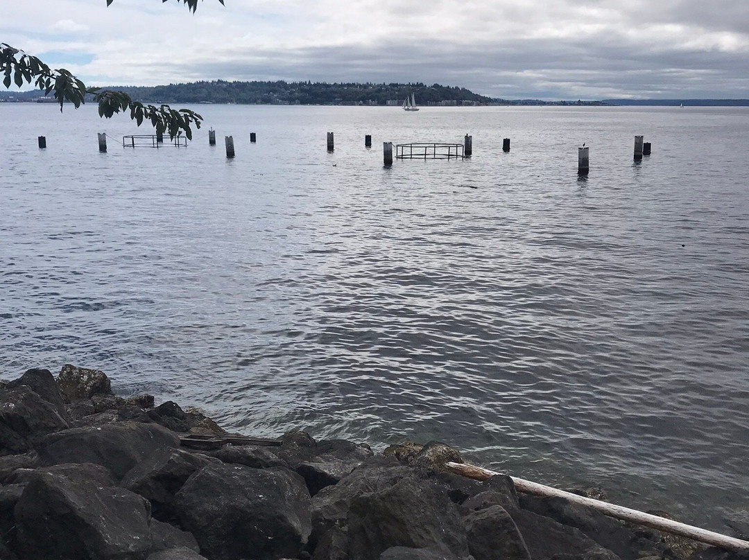 Centennial Park-西雅图必去景点