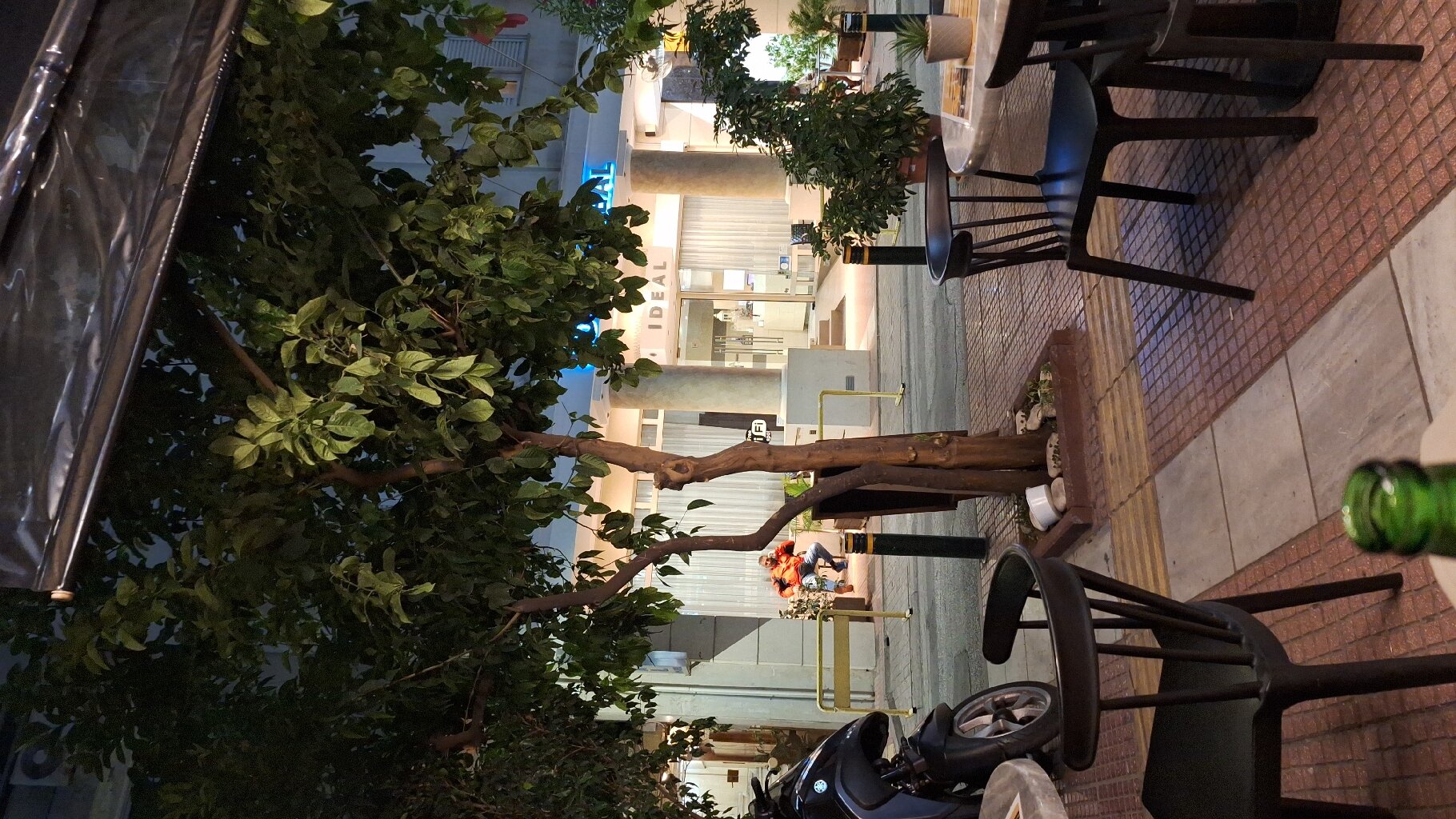 Hotel Ideal-官方