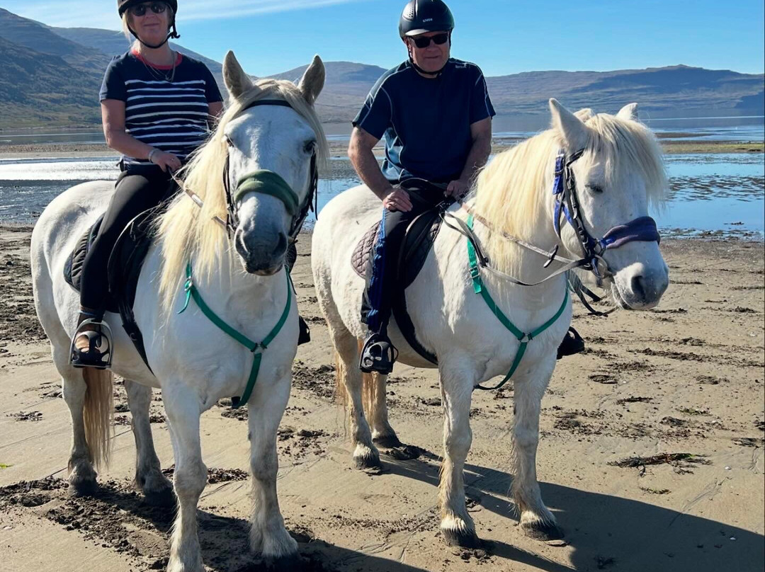 Mull Pony Trekking-马尔岛必去景点