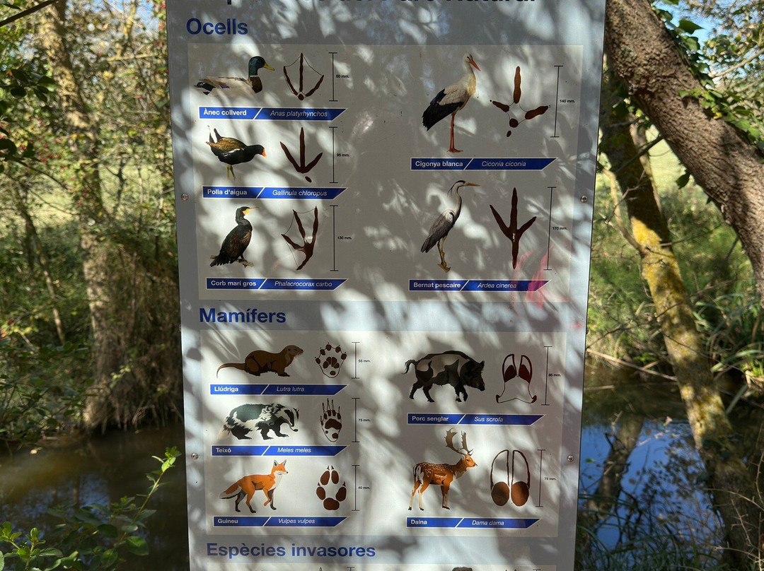 Natural Park of the Aiguamolls de l'Emporda景点图片