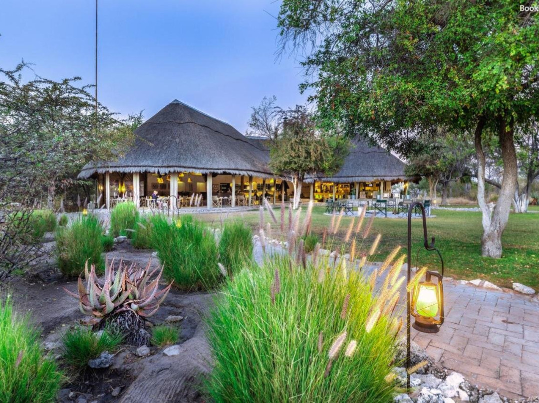 Mushara Bush Camp主图