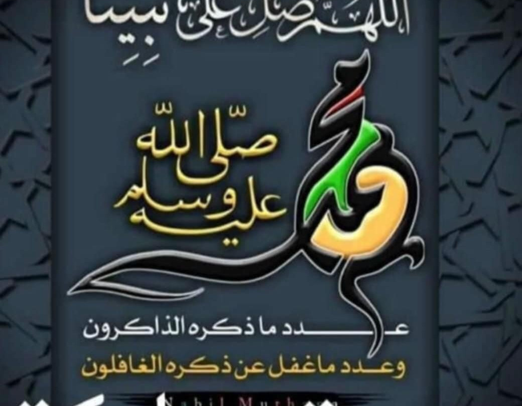 Daily tours egypt-赫尔格达必去景点