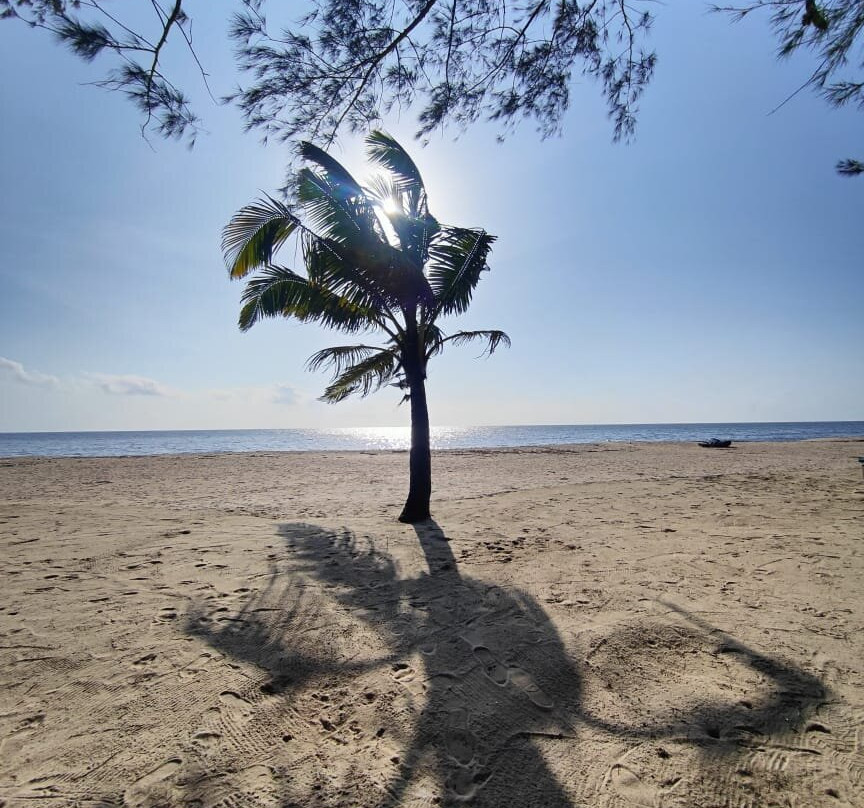 Seclude Marari Sands, Kerala主图