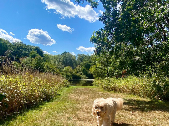 Sandy Ridge Reservation-North Ridgeville必去景点
