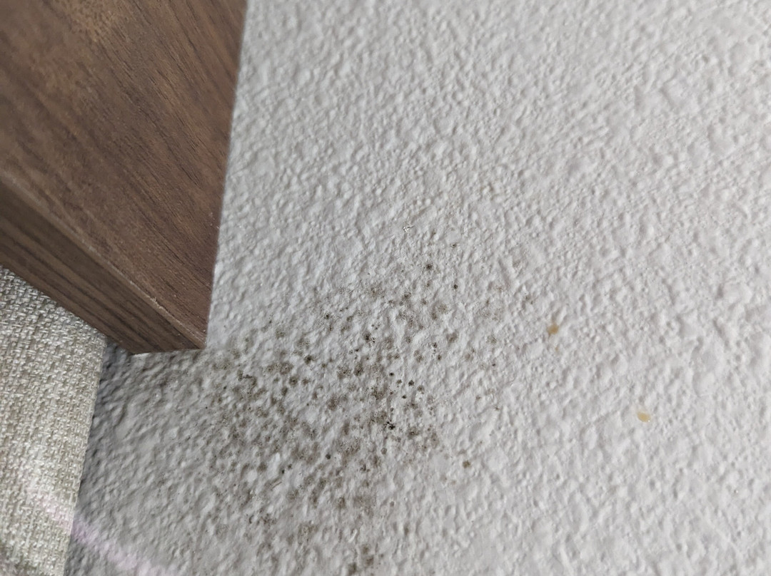 Candlewood Suites Lafayette - River Ranch by IHG主图