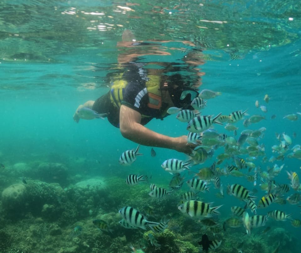 Lombok Wonderland Tour And Travel-马塔兰必去景点