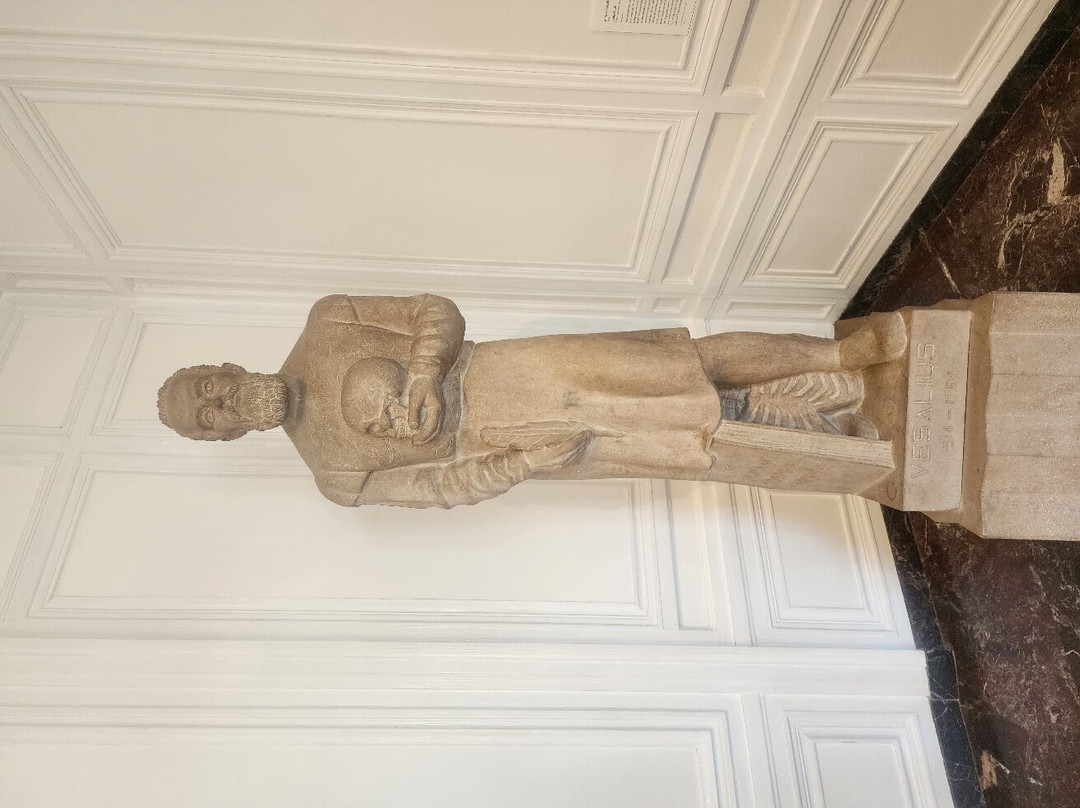 国际外科医学博物馆-芝加哥必去景点