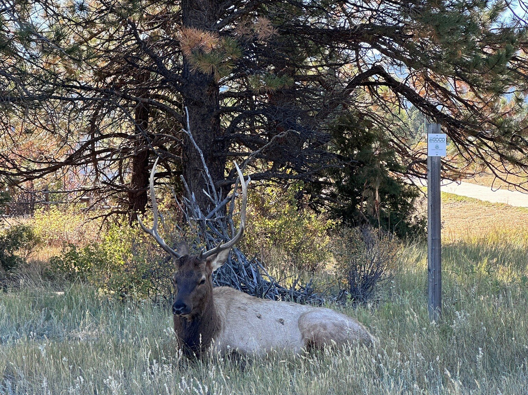 Estes Park Visitor Center-埃斯蒂斯公园必去景点