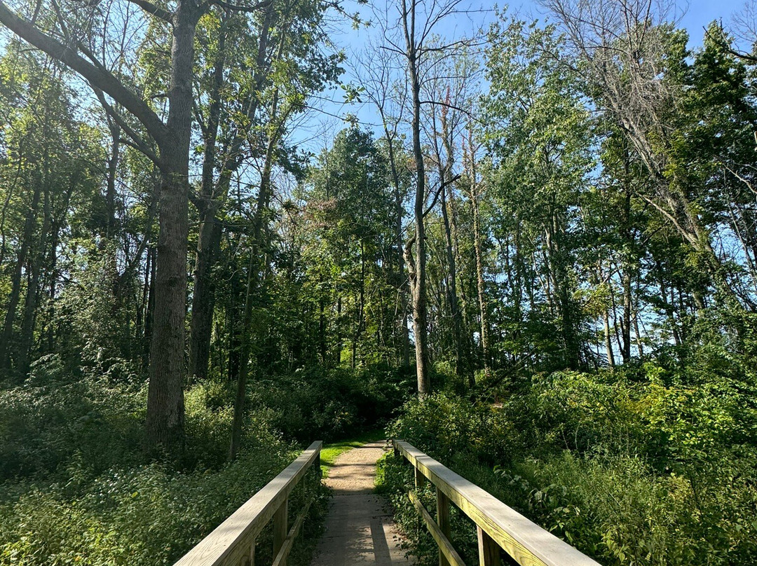 Chimney Bluffs State Park景点图片