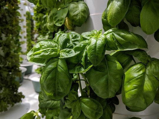 Delicious Denver Food Tours-丹佛必去景点