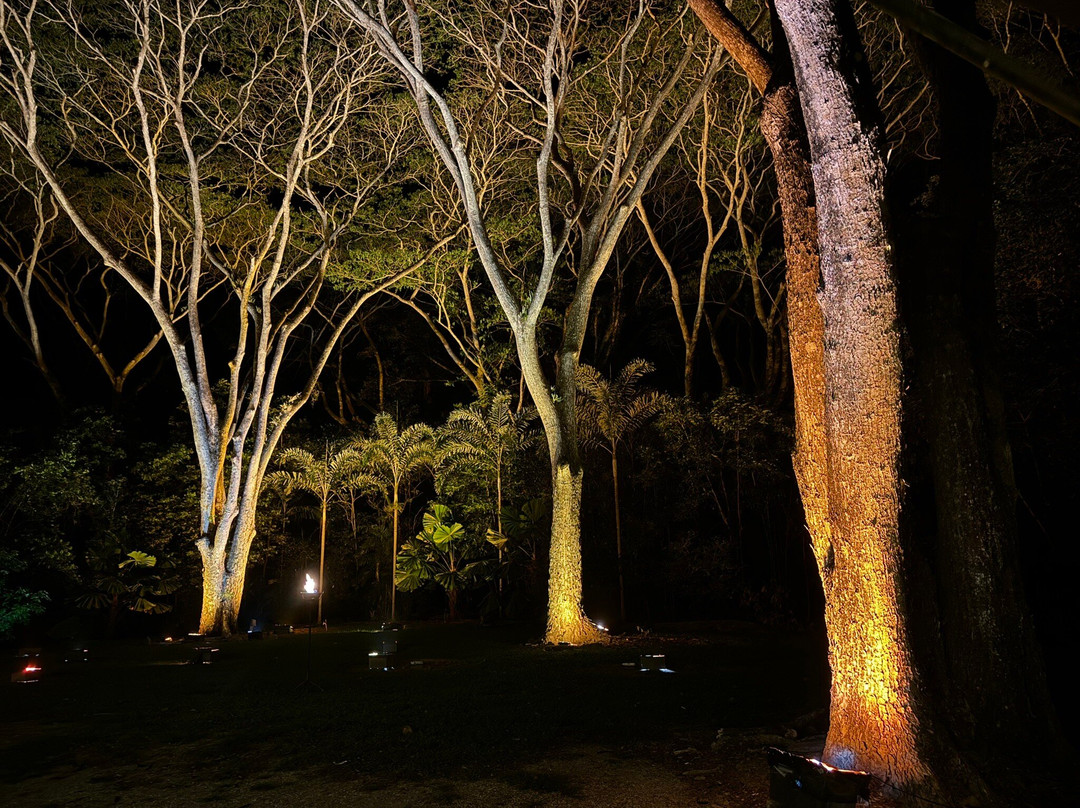Flames of the Forest-道格拉斯港必去景点
