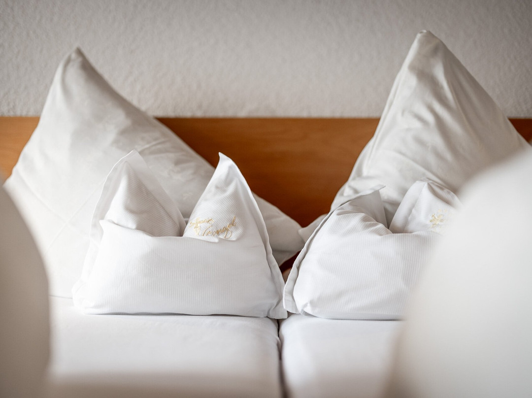 Entdeckerhotel Engel主图