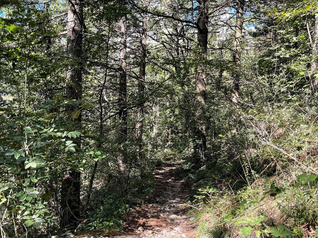 Montale Tower-圣马力诺城必去景点