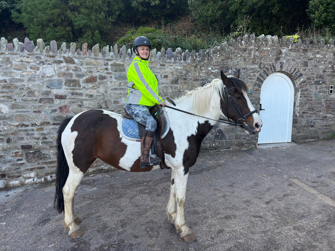 Woolacombe Riding Stables-伍拉科姆必去景点