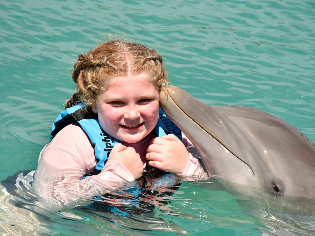 Dolphin Cove Moon Palace Jamaica Grande景点图片