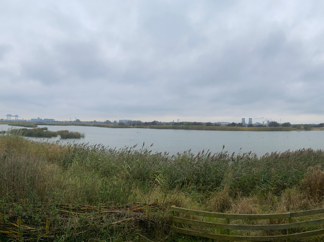 RSPB Saltholme景点图片