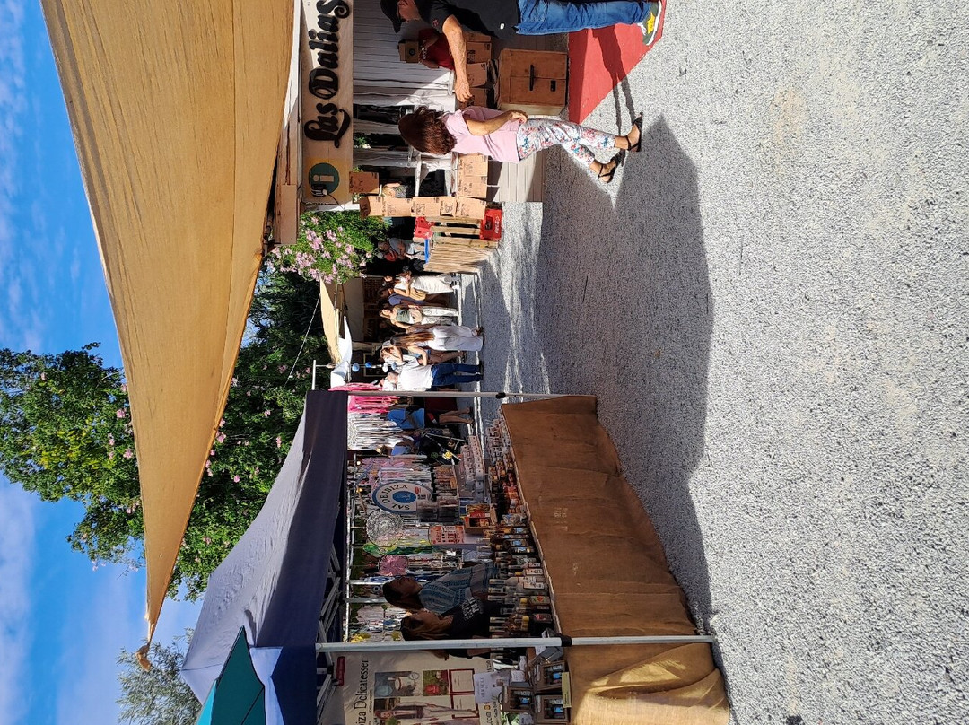 Mercadillo Las Dalias景点图片