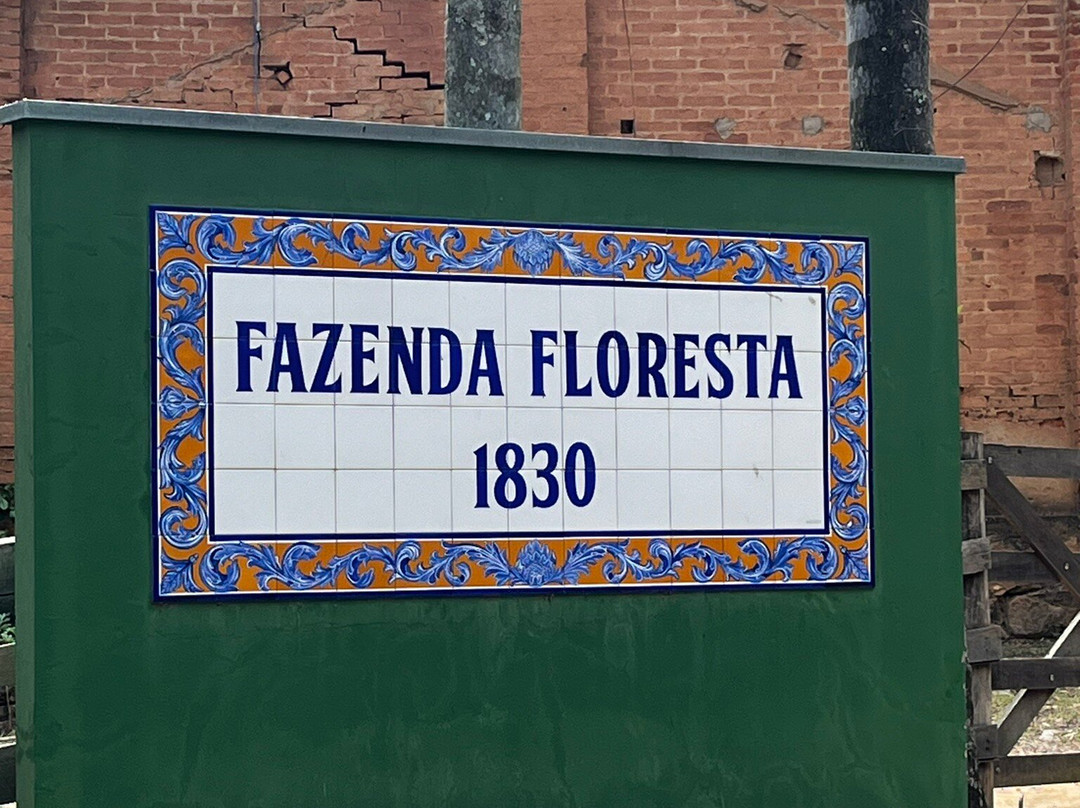 Fazenda Floresta景点图片