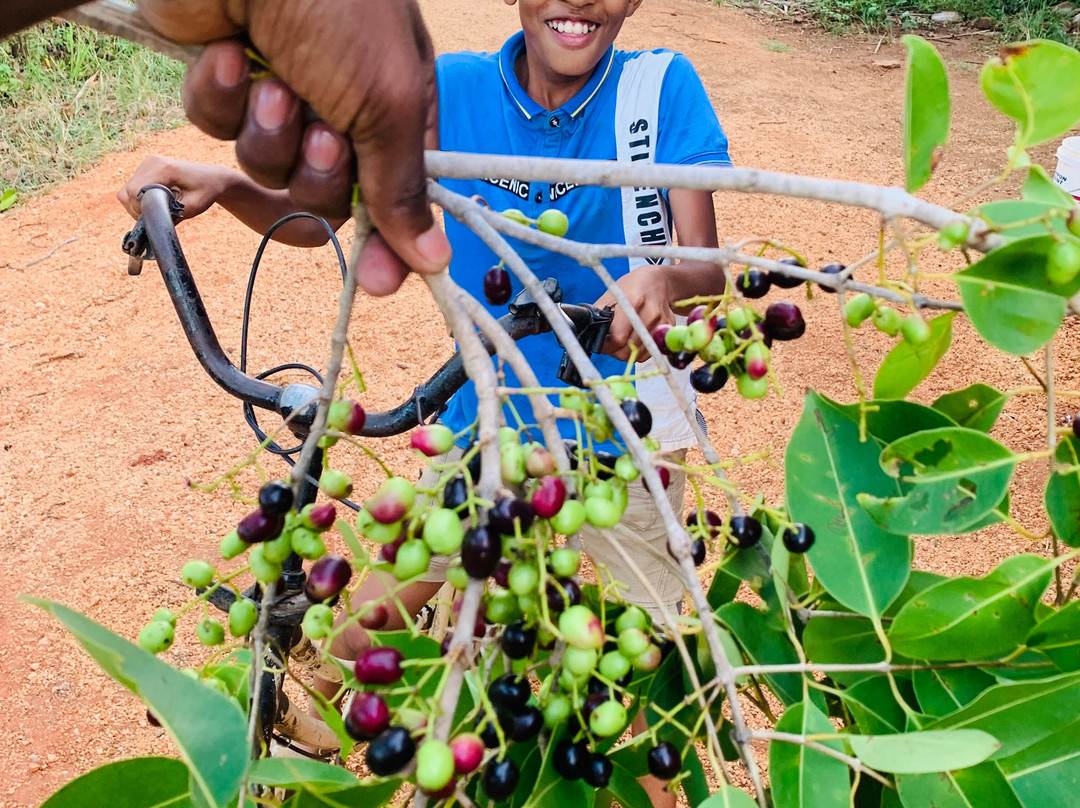 Unplanned Trips In Sri Lanka-Agunukolapelessa必去景点