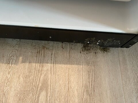 Candlewood Suites Cape Girardeau By IHG主图