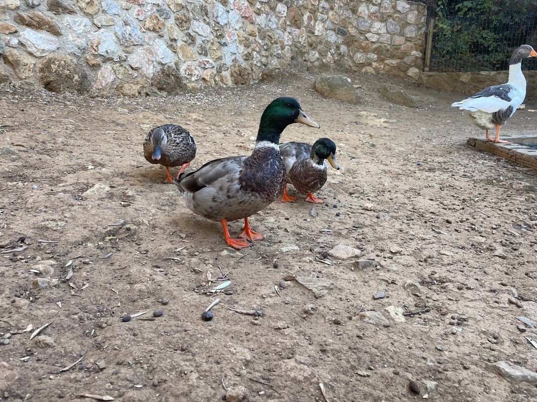 Kos Natural Park-Zia必去景点