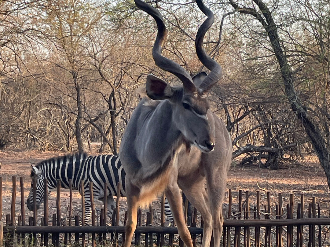 Khaya Umdani Guest Houses主图