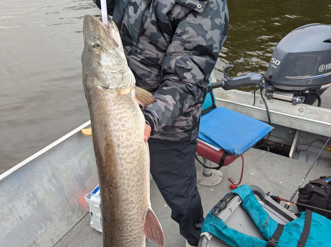 Big Narrows Resort主图