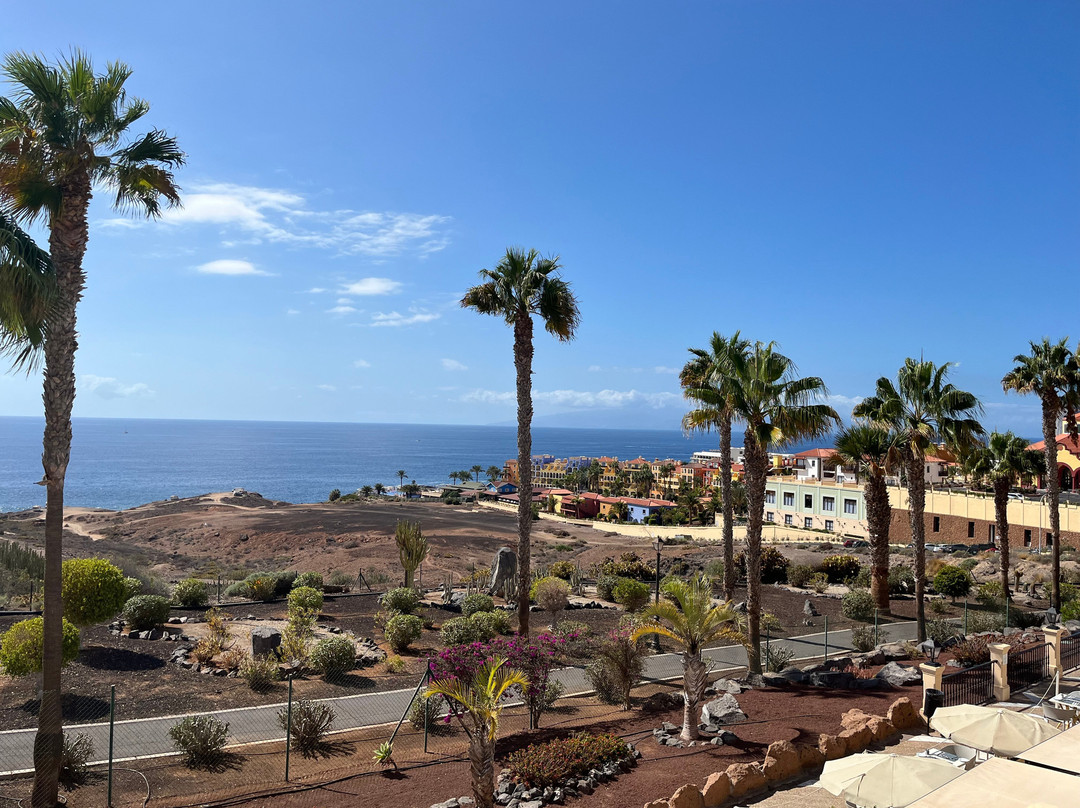 Bahia Principe Luxury Tenerife主图