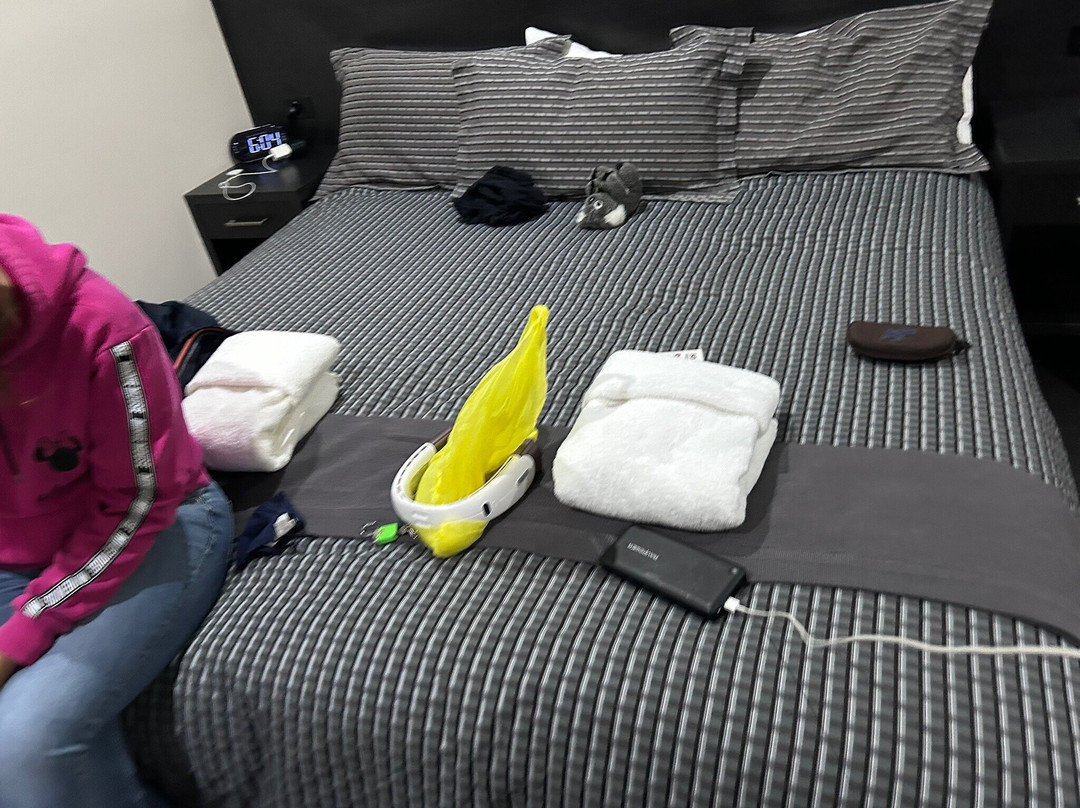 海豚海岸酒店主图