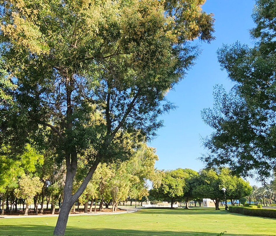 Hili Archaeological Park-艾因市必去景点