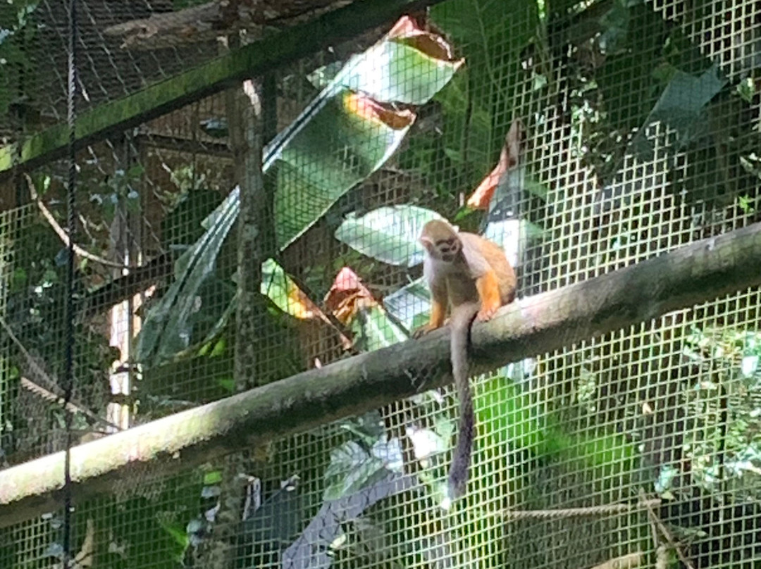 Route de la Traversee-Parc National必去景点