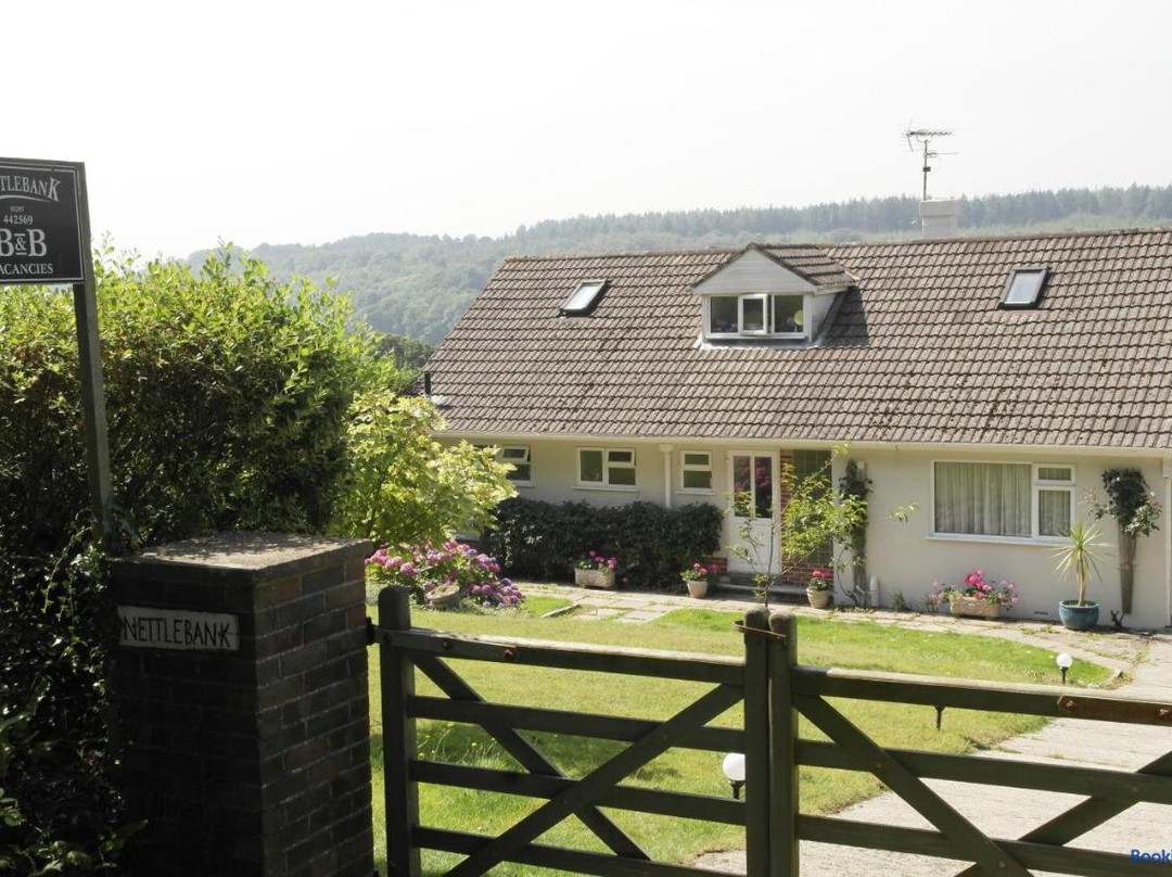 Raymonds Hill酒店住宿-Nettle Bank B & B