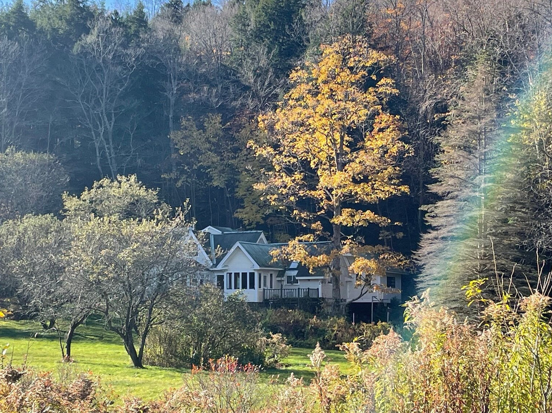 Mountain Valley Retreat B&B主图