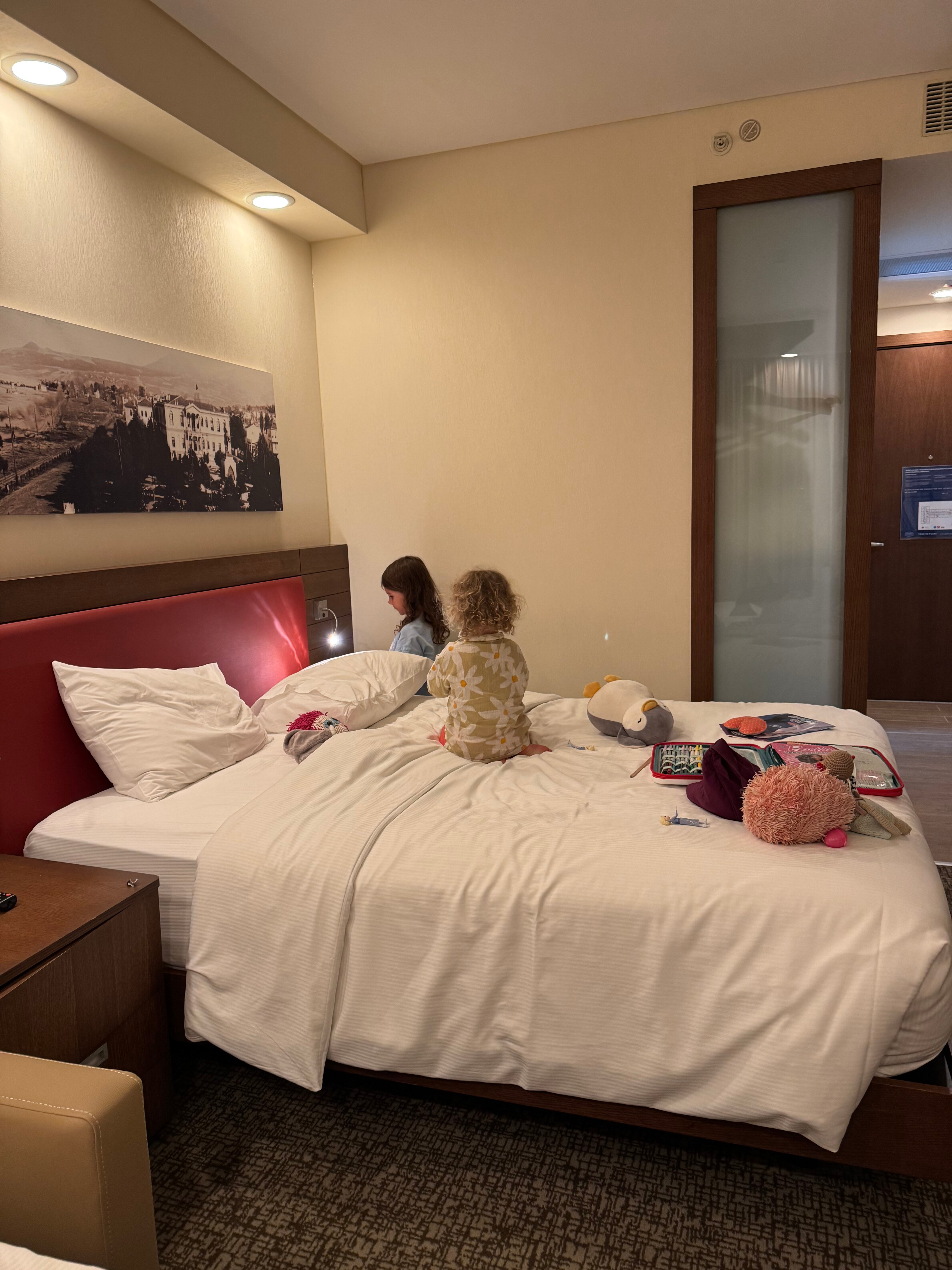 Hampton by Hilton Samsun-客卧