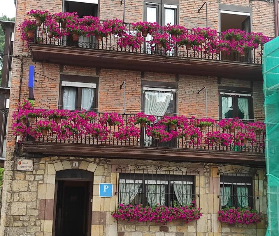 Pensión Rosa
