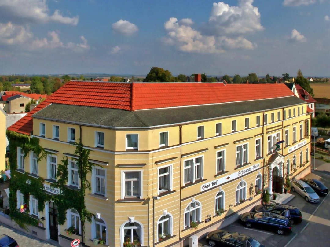 Rosswein酒店住宿-Hotel Schwarzes Ross