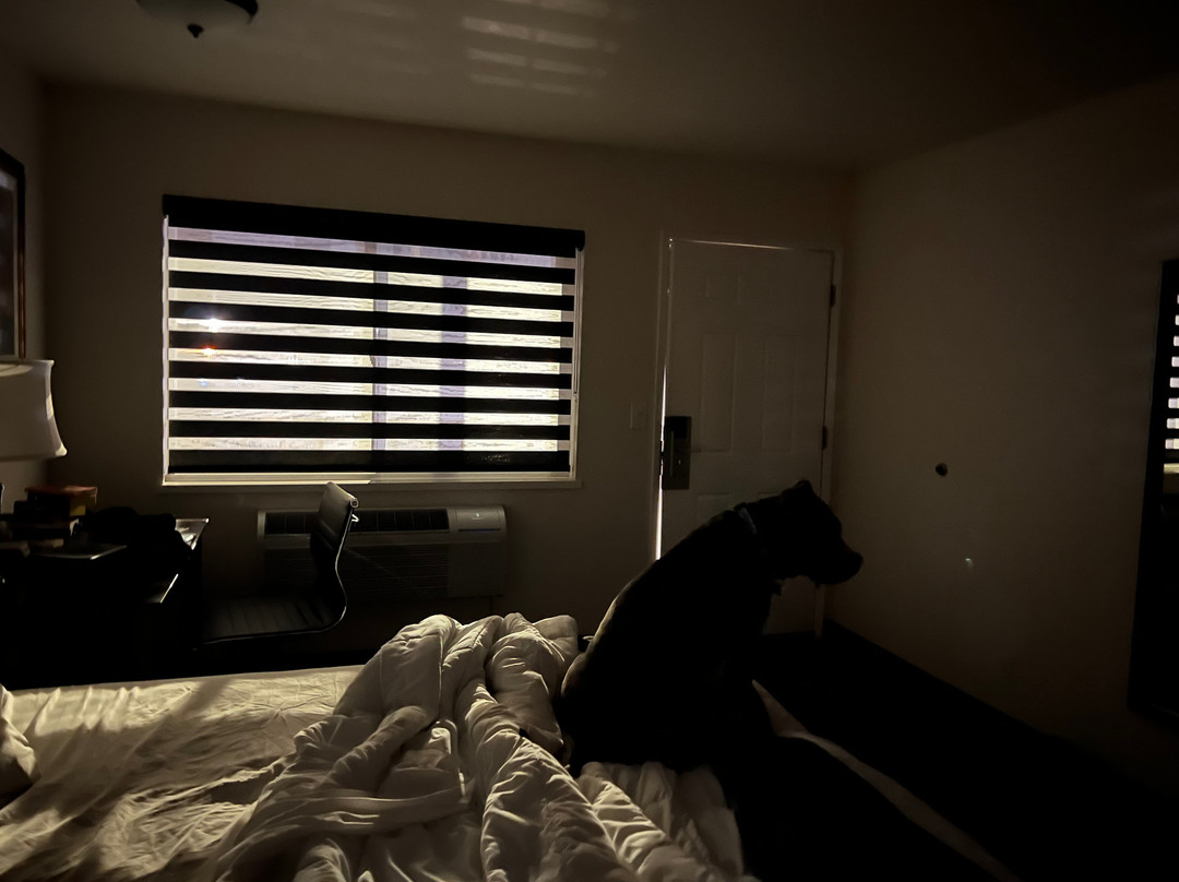 White Pine Motel主图