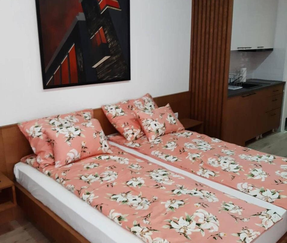 Apartment Mašić