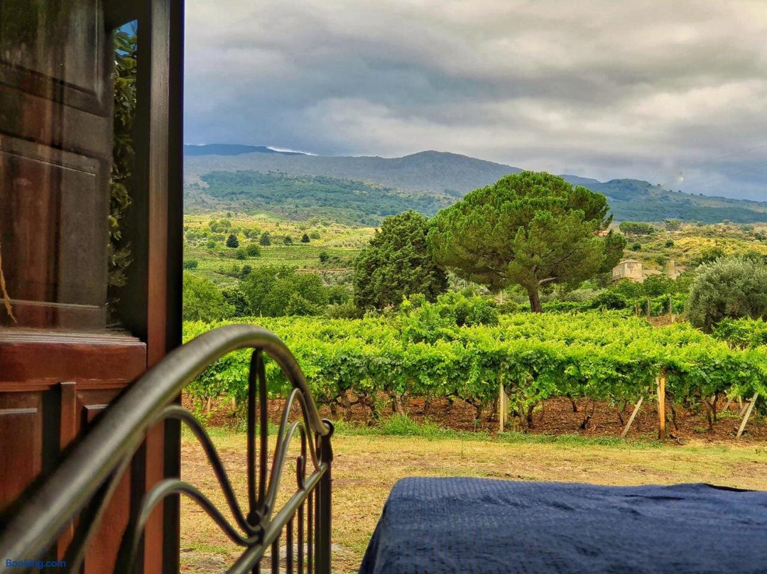 Suite In Vigneto