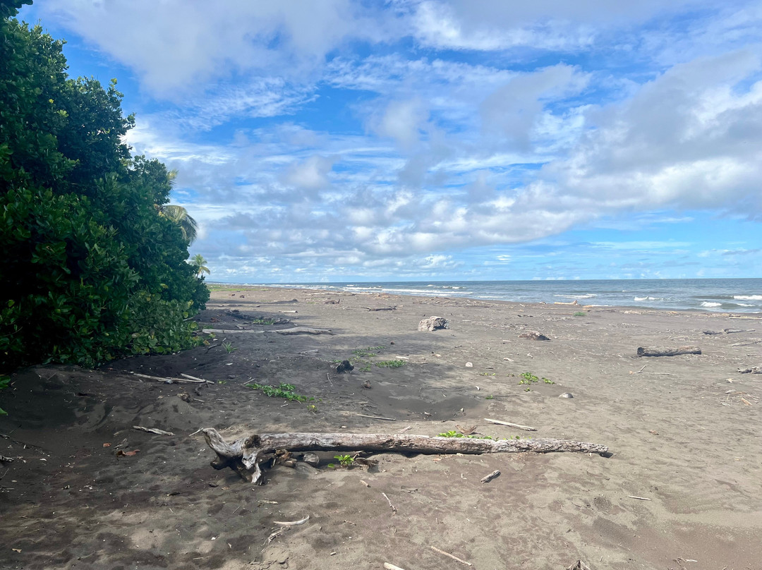 Hotel Serendipity Tortuguero主图