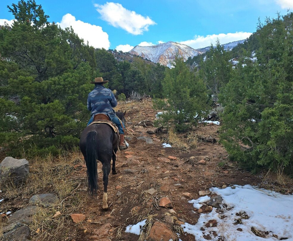 Rising K Ranch-锡达城必去景点