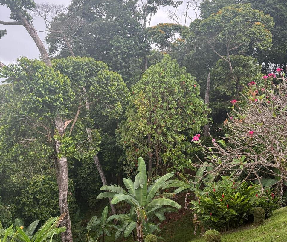 Villas Alturas主图