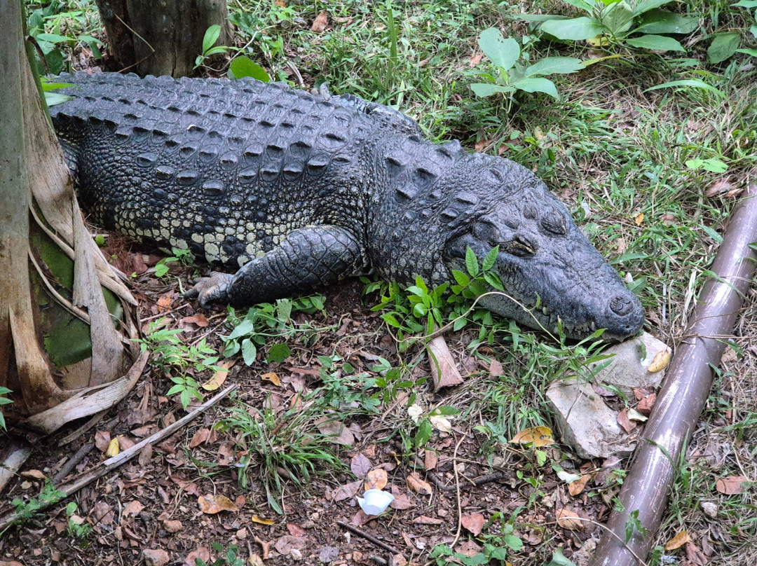 Choco Story uxmal-乌科斯玛必去景点