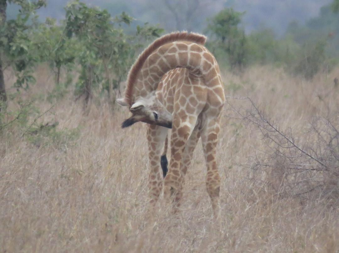 Afrika 24 Reisen-开普敦必去景点
