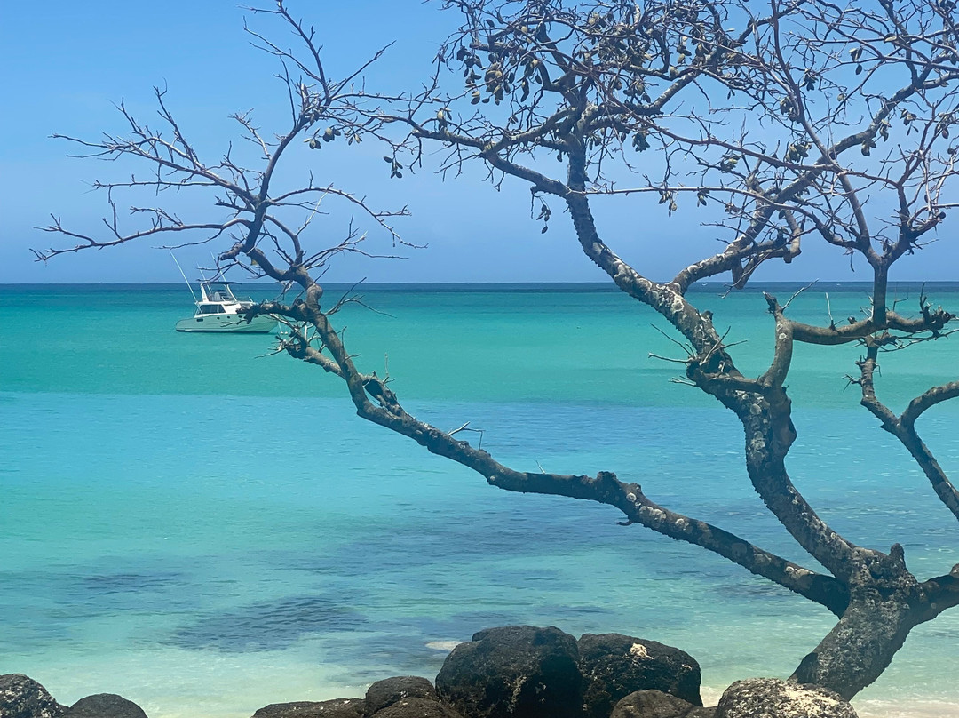 La Cuvette Public Beach景点图片