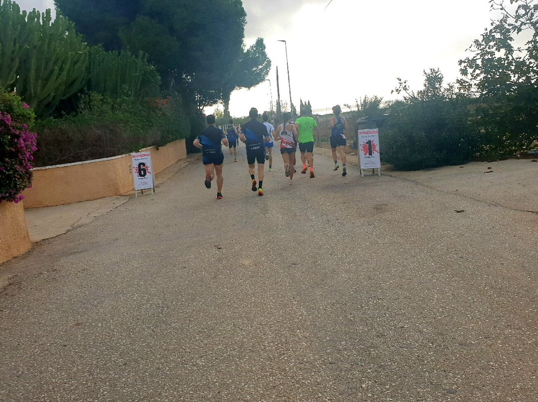 Carrera Contra Las Violencias Machistas-Los Montesinos必去景点