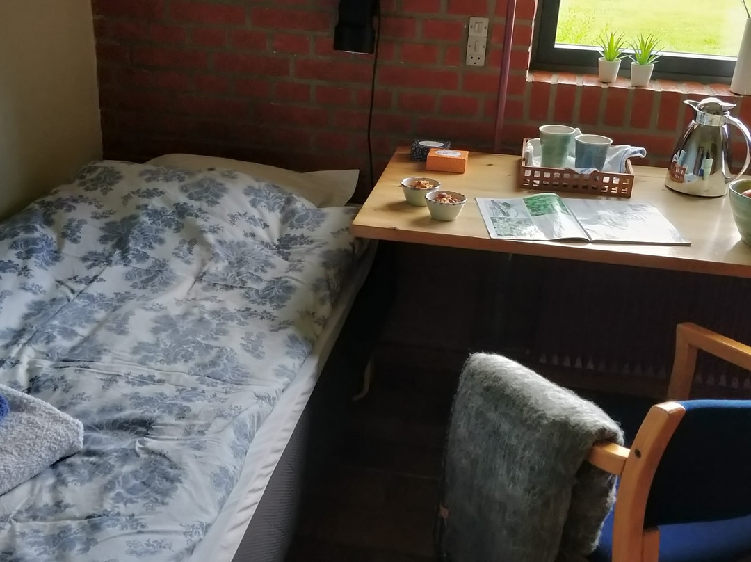 Thy事件与自然中心