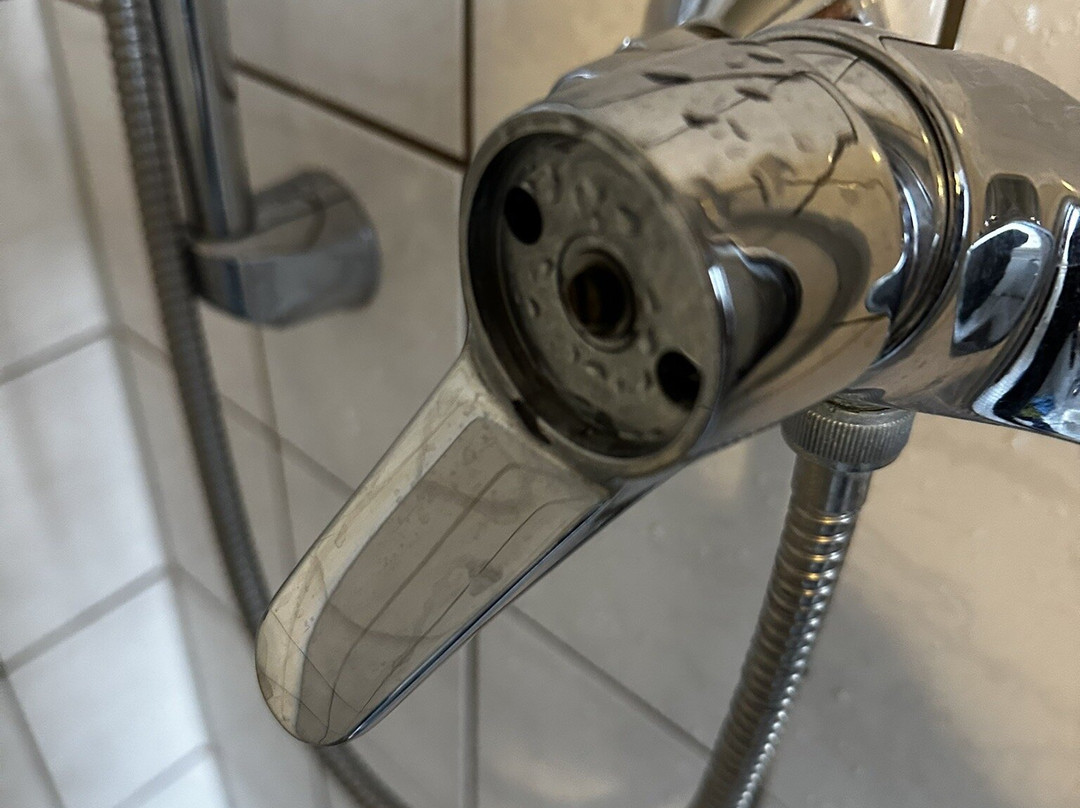 Bayrischer Hof主图