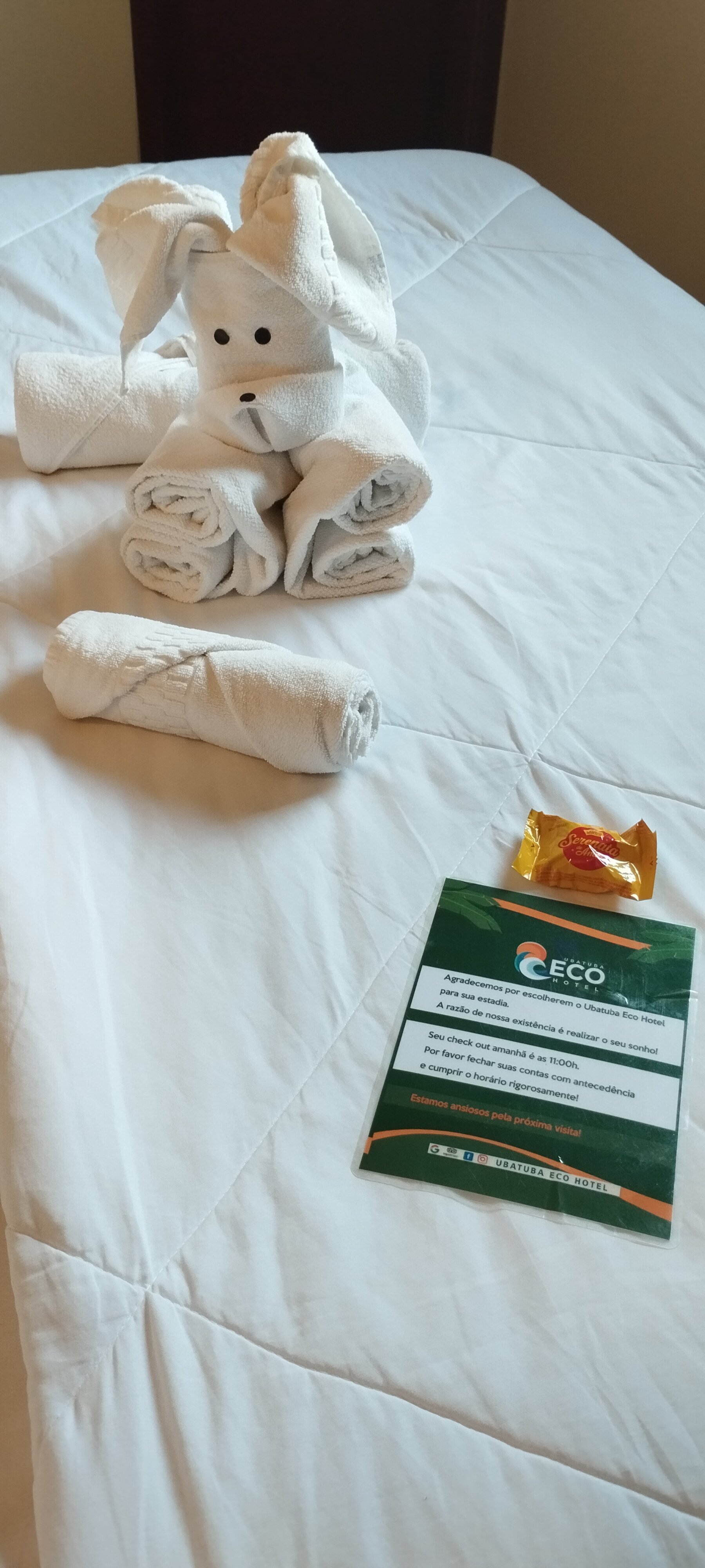 Ubatuba Eco Hotel-客卧